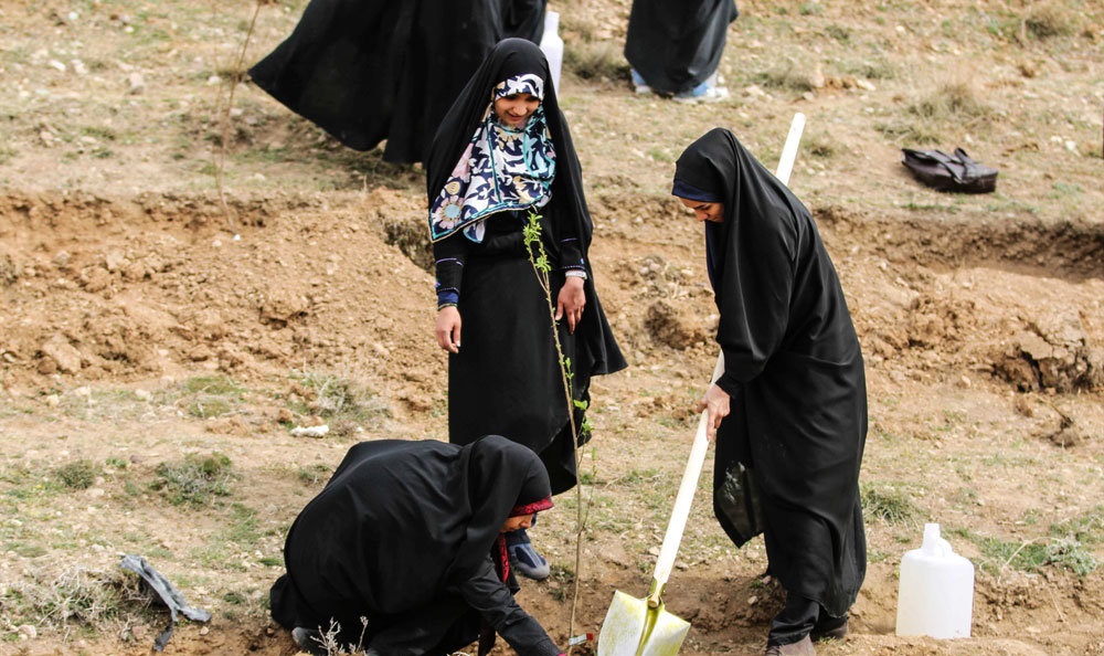 گزارش تصویری از روز درختکاری در تپه های تلو گزارش تصویری از روز درختکاری در تپه های تلو