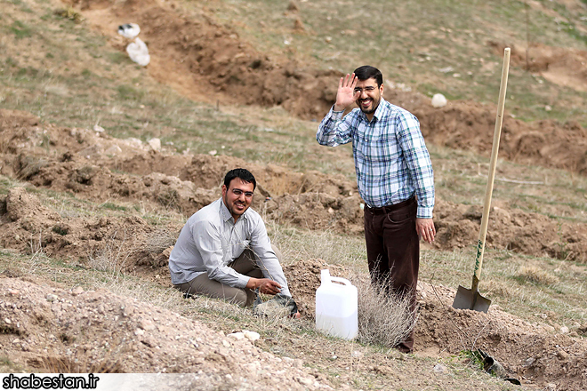 گزارش تصویری از روز درختکاری در تپه های تلو گزارش تصویری از روز درختکاری در تپه های تلو