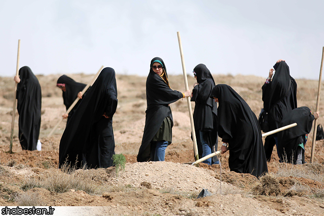 گزارش تصویری از روز درختکاری در تپه های تلو گزارش تصویری از روز درختکاری در تپه های تلو