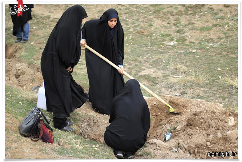 گزارش تصویری از روز درختکاری در تپه های تلو گزارش تصویری از روز درختکاری در تپه های تلو