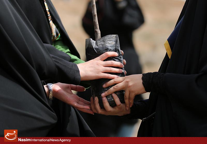 گزارش تصویری از روز درختکاری در تپه های تلو گزارش تصویری از روز درختکاری در تپه های تلو