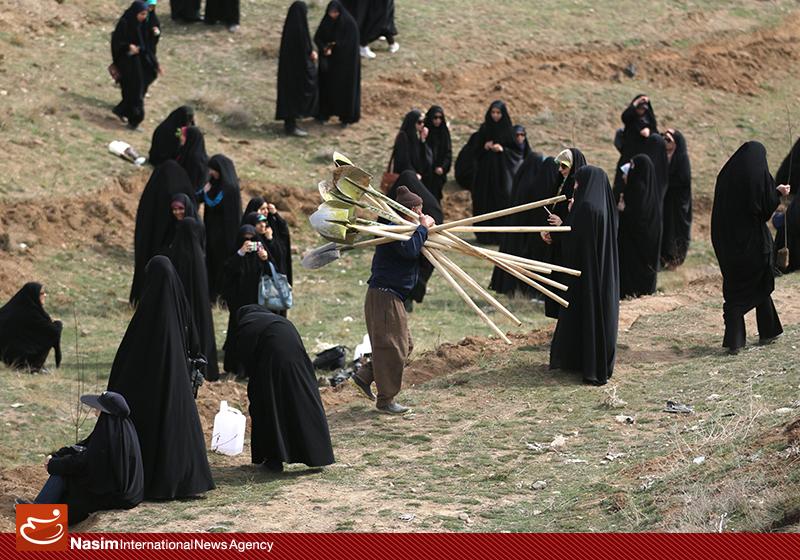 گزارش تصویری از روز درختکاری در تپه های تلو گزارش تصویری از روز درختکاری در تپه های تلو