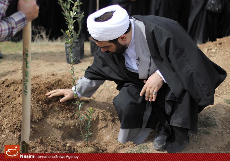 گزارش تصویری از روز درختکاری در تپه های تلو گزارش تصویری از روز درختکاری در تپه های تلو