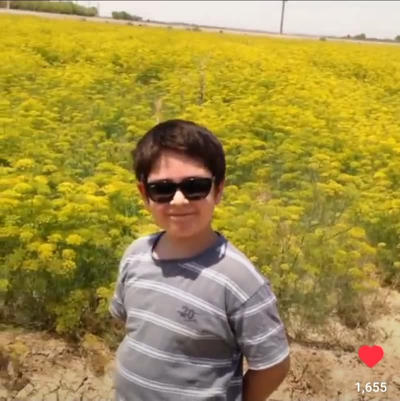 شویدزار؛ من و هادی
