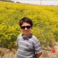 شویدزار؛ من و هادی