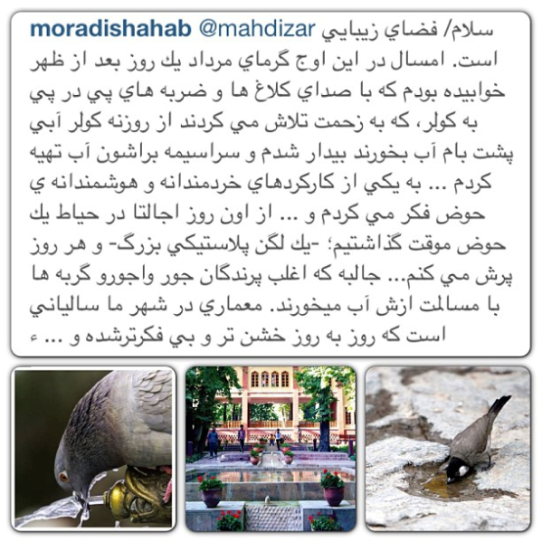 مهربانی با پرنده‌ها
