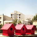 مهربونی با پرندگان